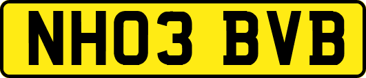 NH03BVB