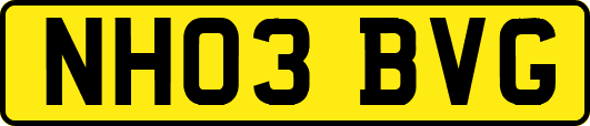 NH03BVG