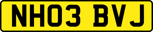 NH03BVJ