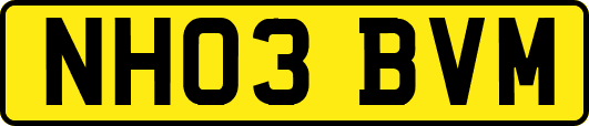 NH03BVM