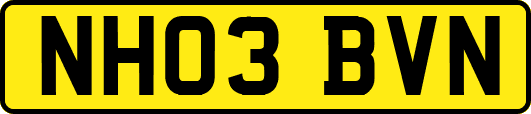 NH03BVN