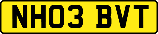 NH03BVT