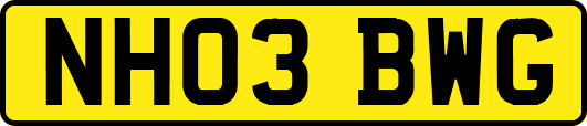 NH03BWG