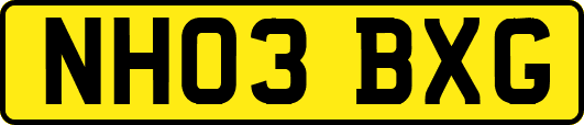 NH03BXG