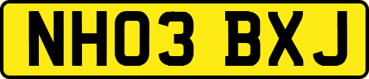 NH03BXJ