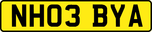 NH03BYA