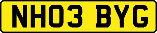NH03BYG