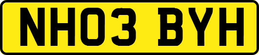 NH03BYH