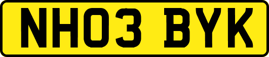 NH03BYK