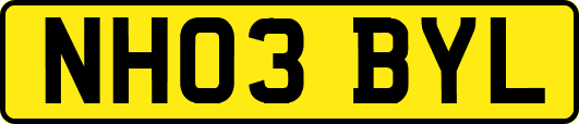 NH03BYL
