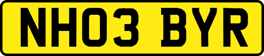 NH03BYR