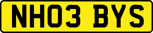 NH03BYS
