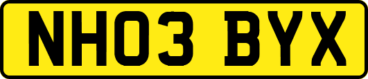 NH03BYX