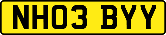 NH03BYY