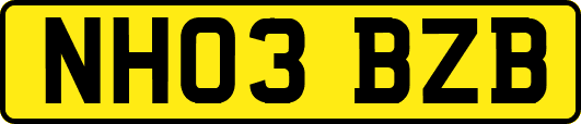 NH03BZB