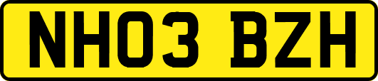 NH03BZH