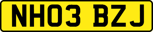 NH03BZJ
