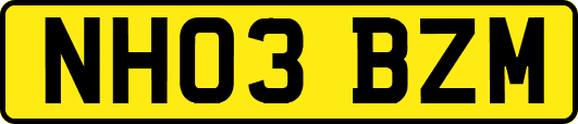 NH03BZM