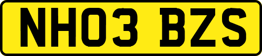 NH03BZS