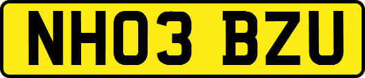 NH03BZU