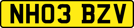 NH03BZV