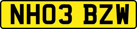 NH03BZW