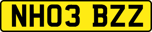 NH03BZZ