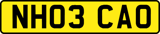 NH03CAO