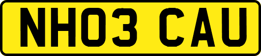NH03CAU