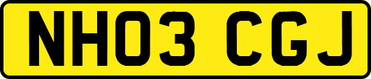 NH03CGJ