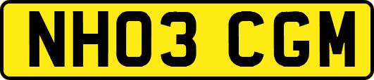 NH03CGM
