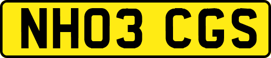 NH03CGS