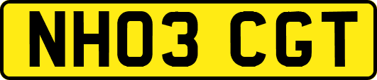NH03CGT
