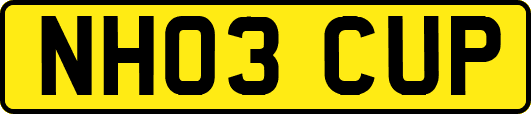 NH03CUP