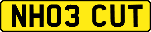 NH03CUT