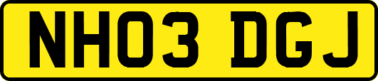 NH03DGJ