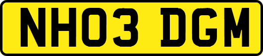 NH03DGM