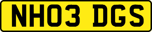 NH03DGS