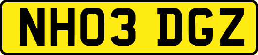 NH03DGZ
