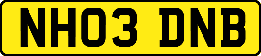 NH03DNB