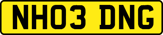 NH03DNG