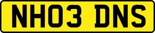 NH03DNS