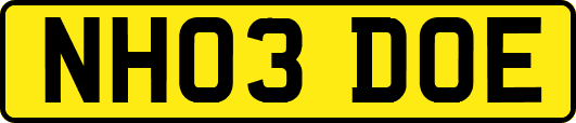 NH03DOE