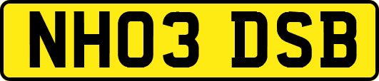 NH03DSB