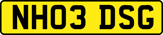 NH03DSG
