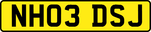 NH03DSJ