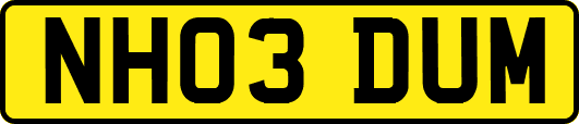 NH03DUM