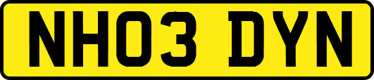 NH03DYN