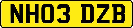 NH03DZB