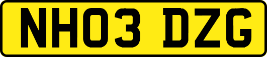 NH03DZG